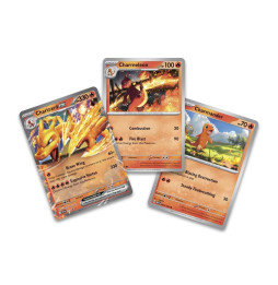 Karetní hra Pokémon TCG - Charizard ex Super Premium Collection